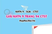 Giải KHTN 9 trang 94 Chân trời sáng tạo SGK